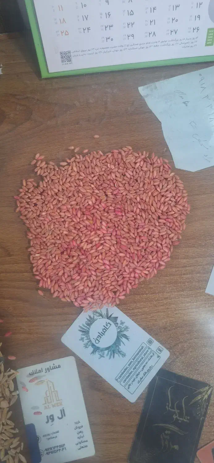 گندم بذری|خدمات باغبانی و درختکاری|کوزران, |دیوار