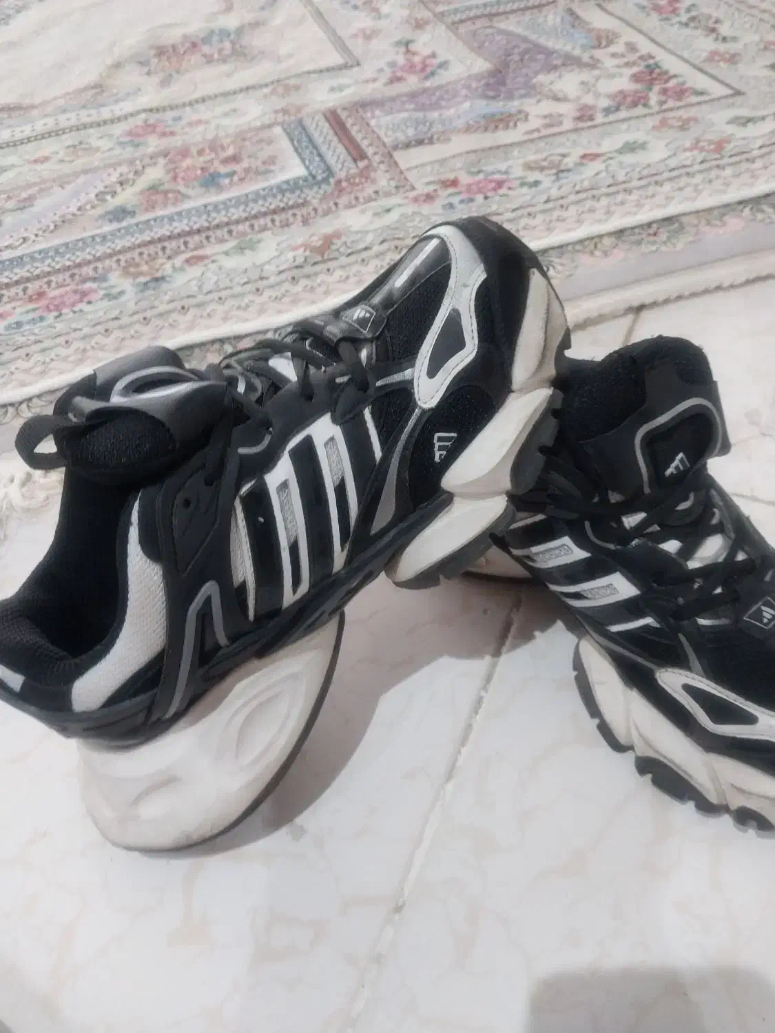 کفش ادیداس|کیف، کفش، کمربند|مشهد, سمزقند|دیوار