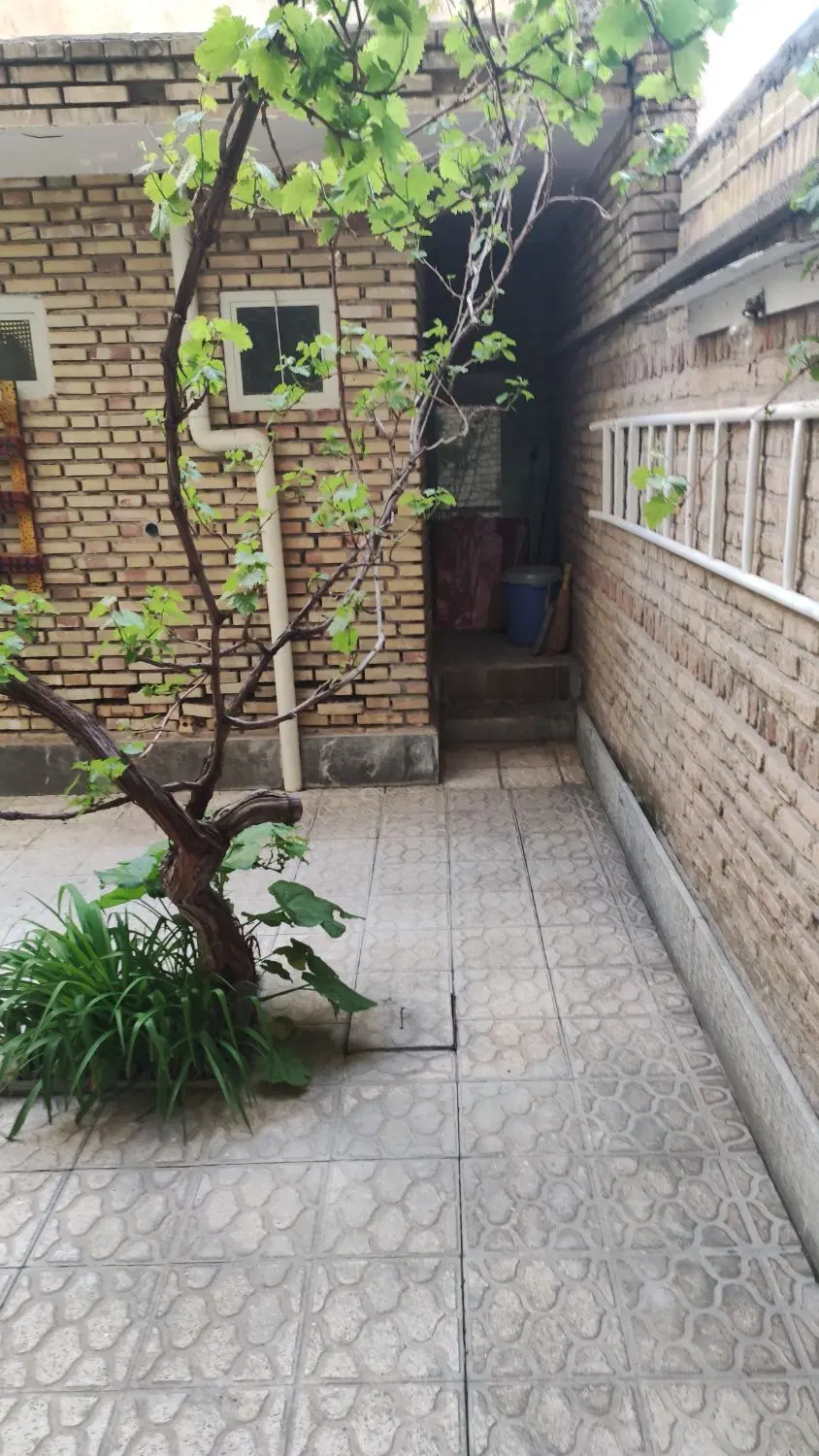 تصویر 5