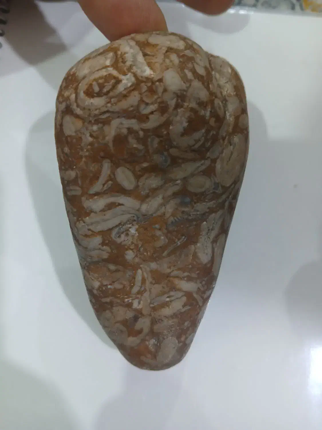 سنگ خاص|کلکسیون اشیاء عتیقه|آزادشهر, |دیوار