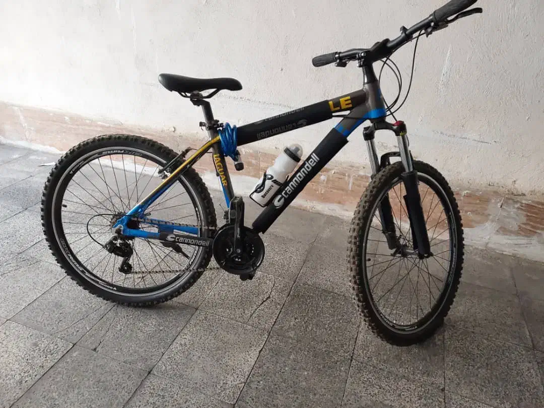 دوچرخه تنه آلومینیوم|دوچرخه، اسکیت، اسکوتر|هشتگرد, شهرک گلها|دیوار