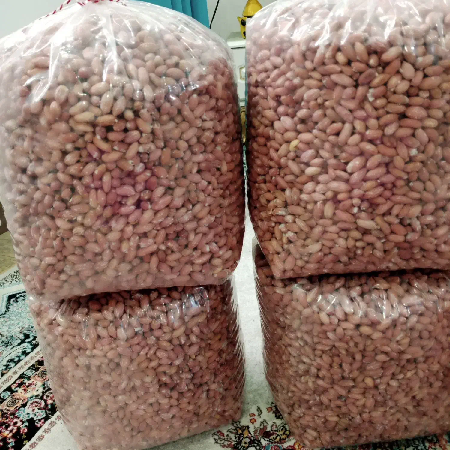 فروش بادام زمینی تازه دوآتشه عالی ۲۰۰|خوردنی و آشامیدنی|رشت, نیروی دریایی|دیوار