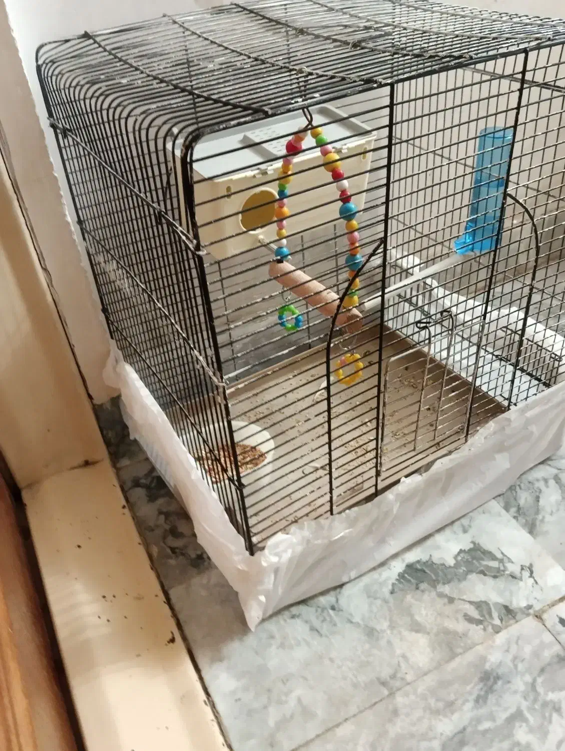 قفس بزرگ پرنده|لوازم جانبی حیوانات|بوکان, |دیوار