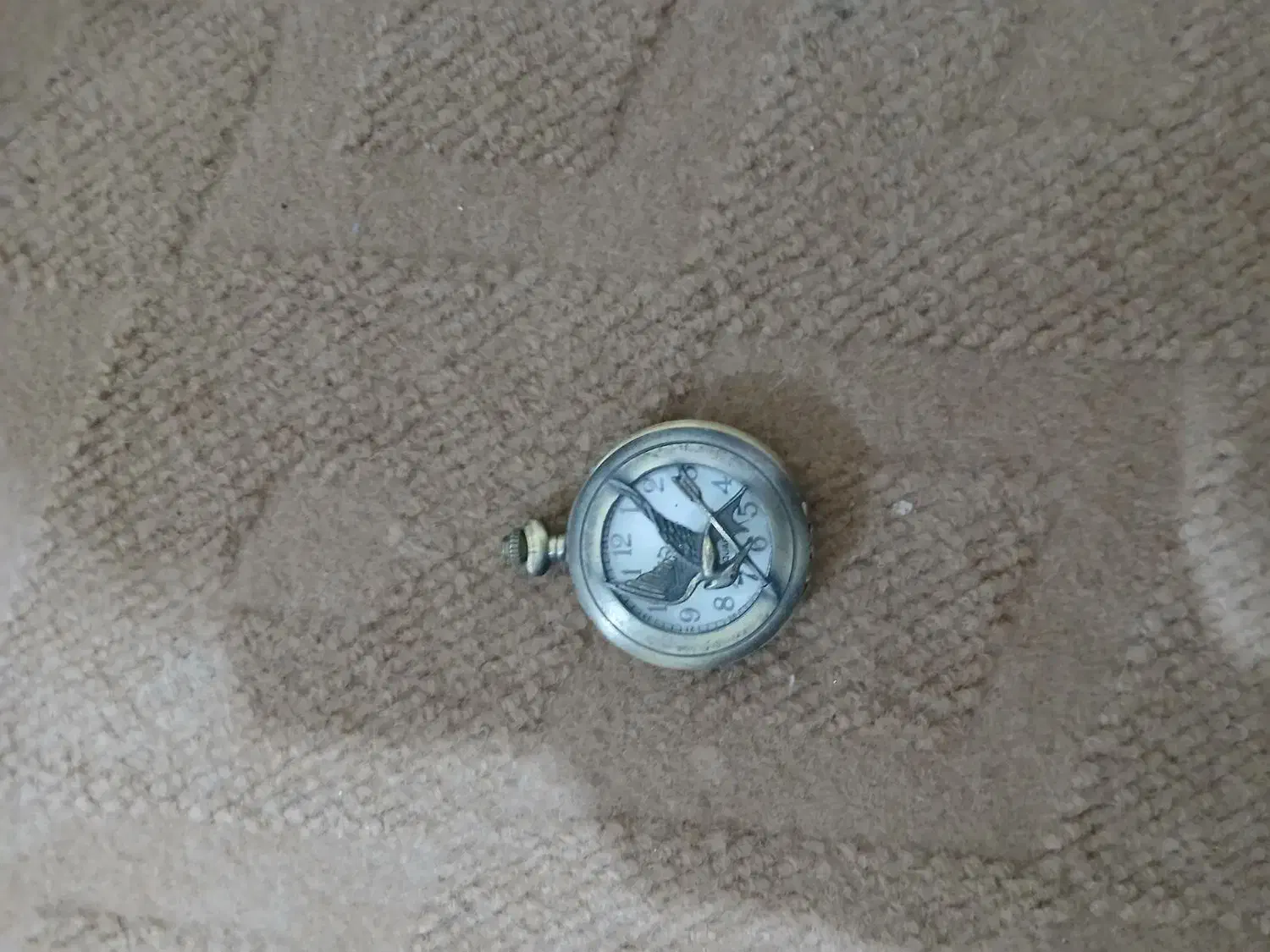 ساعت و عینک شنا|حراج|میانه, |دیوار