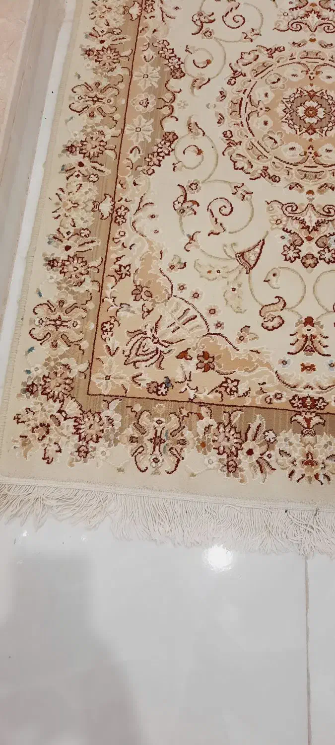 تعداد زیادی قالیچه و کناره و گلیم فرش|فرش|اراک, |دیوار