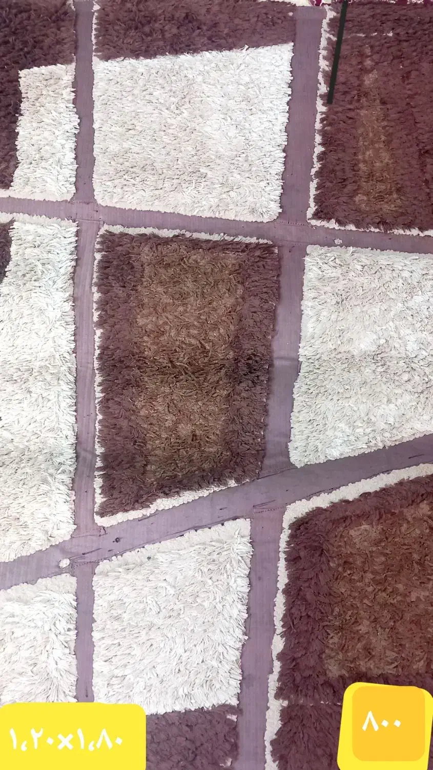 قالیچه وگلیم سالم|فرش|سبزوار, فرهنگیان|دیوار