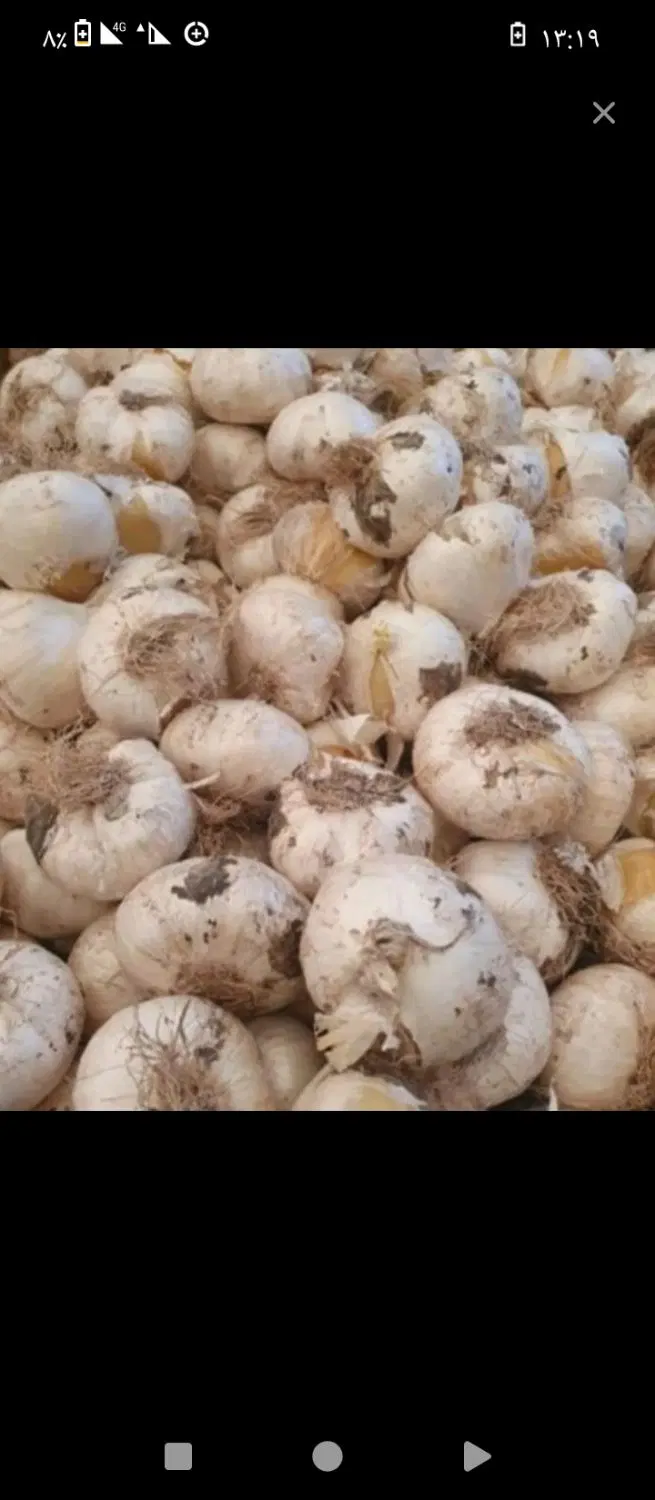 موسیر|خوردنی و آشامیدنی|دورود, |دیوار