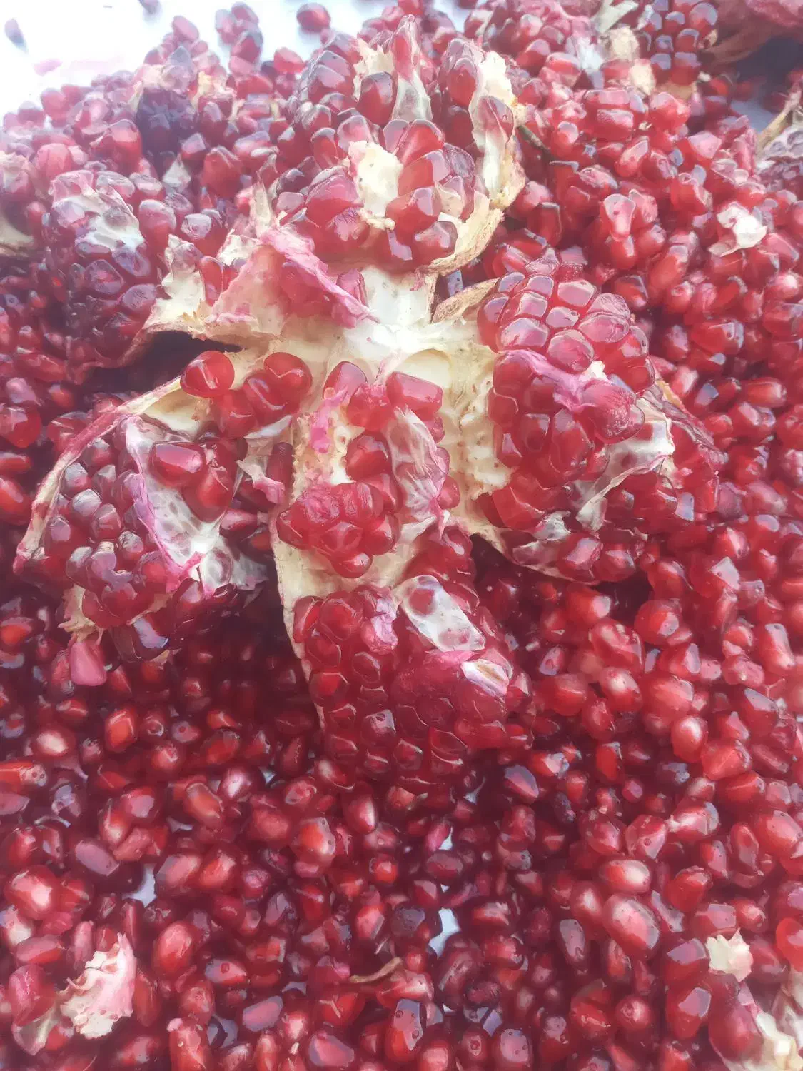 انار خندون|حراج|دهدشت, |دیوار