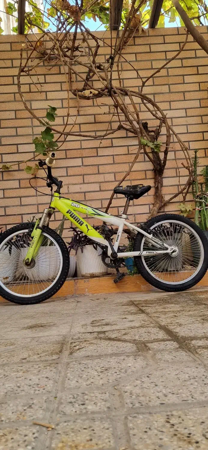 دوچرخه سایز ۲۰|دوچرخه، اسکیت، اسکوتر|پاکدشت, پاکدشت (مامازند)|دیوار