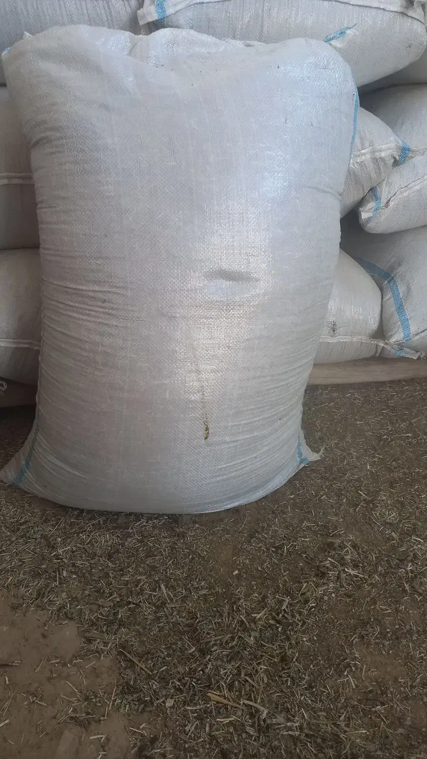 کاه ماش درجه یک|خدمات باغبانی و درختکاری|شوشتر, |دیوار