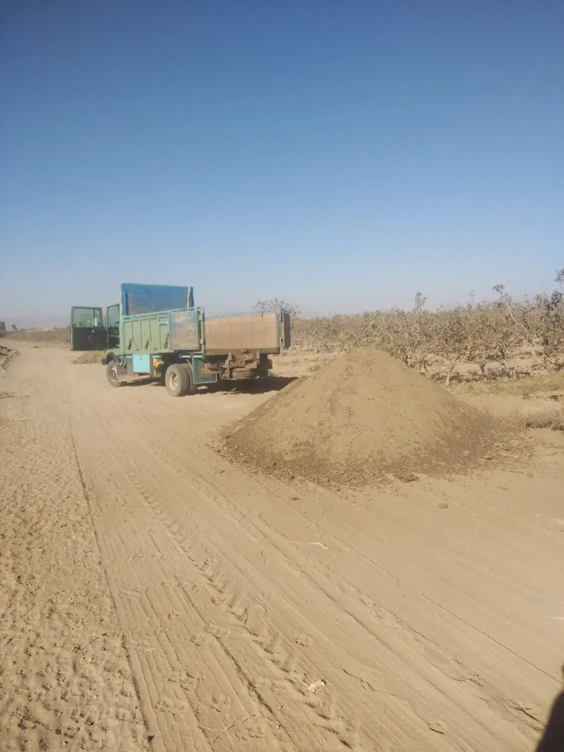 کود گوسفندی درجه یک یک|خدمات باغبانی و درختکاری|سیرجان, |دیوار