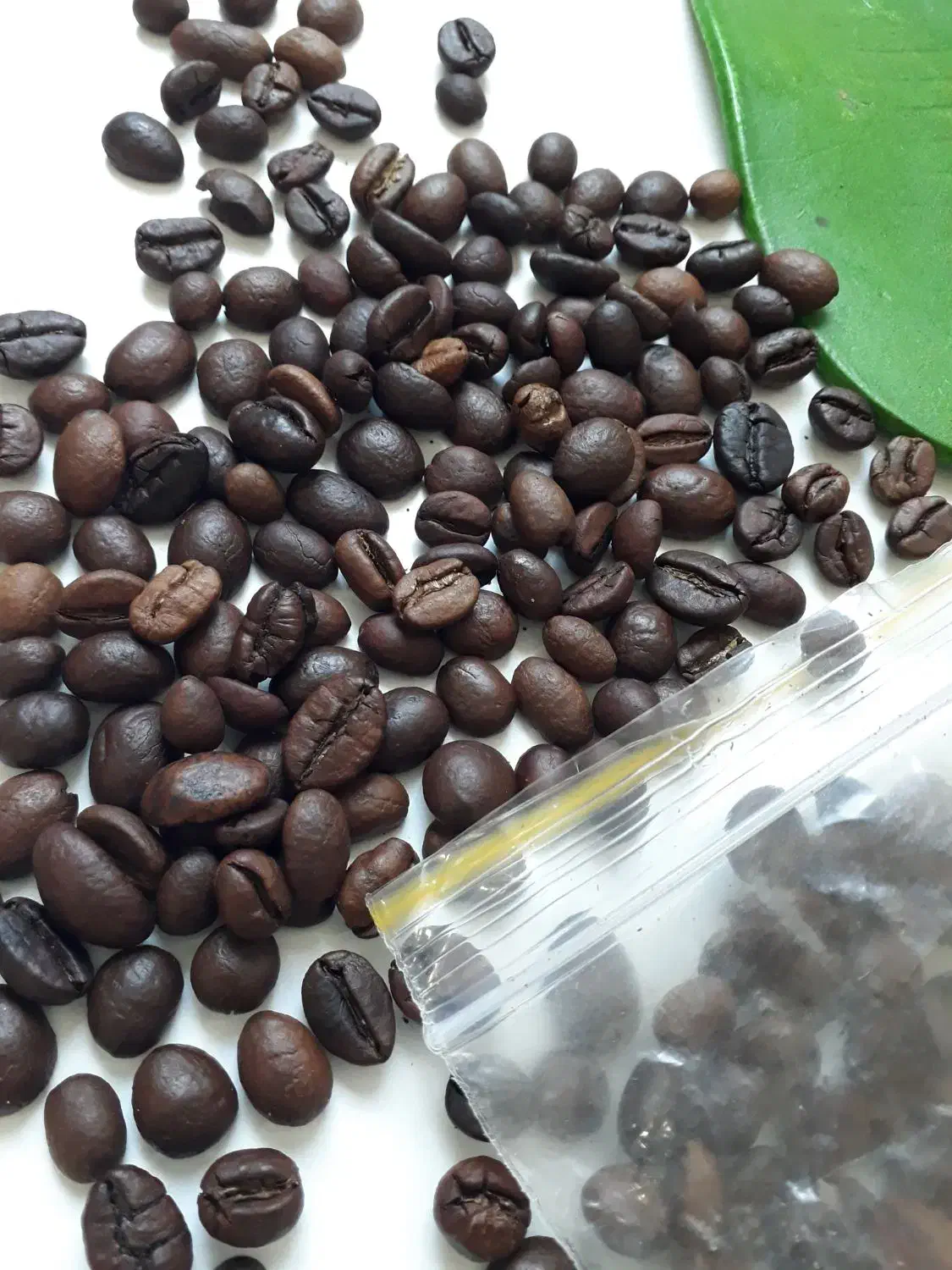 فروش کلی و جزئی قهوه با ارسال رایگان در گیلان|کافی‌شاپ و رستوران|رشت, بازار|دیوار