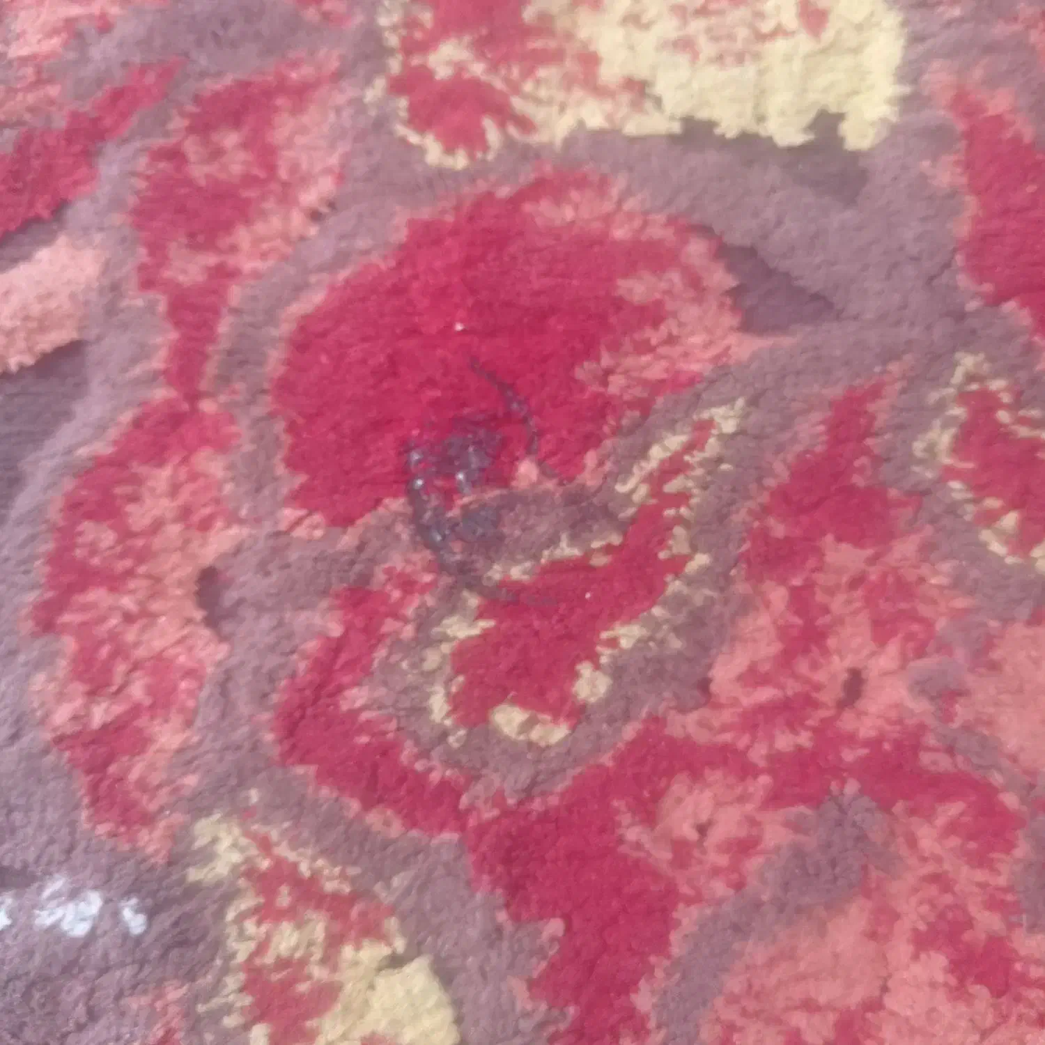 فرش گلیمی استفاده شده|گلیم، جاجیم، گبه|پاکدشت, شهرک امام رضا|دیوار