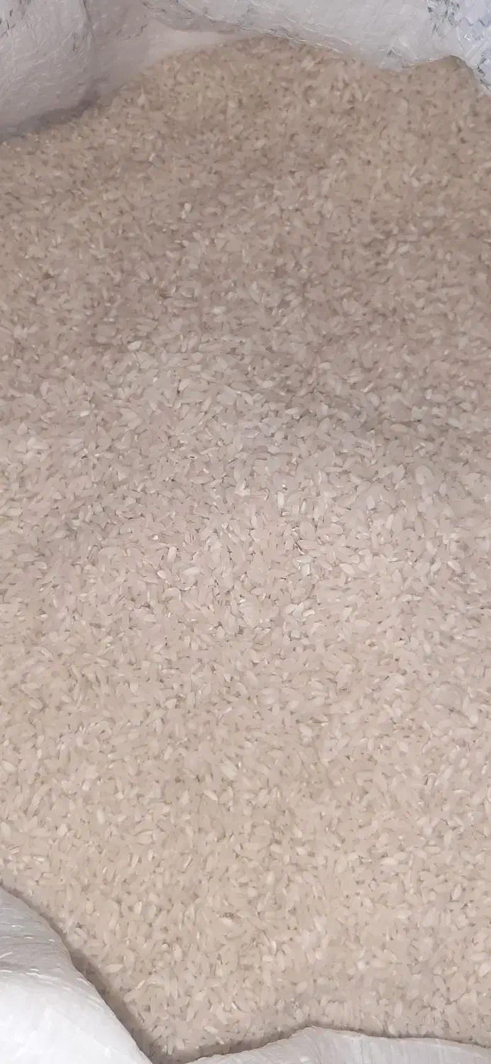 برنج چمپا|خوردنی و آشامیدنی|اهواز, رسالت|دیوار