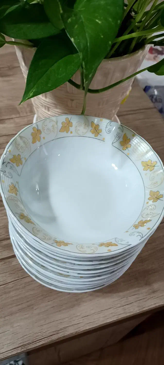 خورشت خوری نو|ظروف سرو و پذیرایی|رشت, استقامت ۲|دیوار