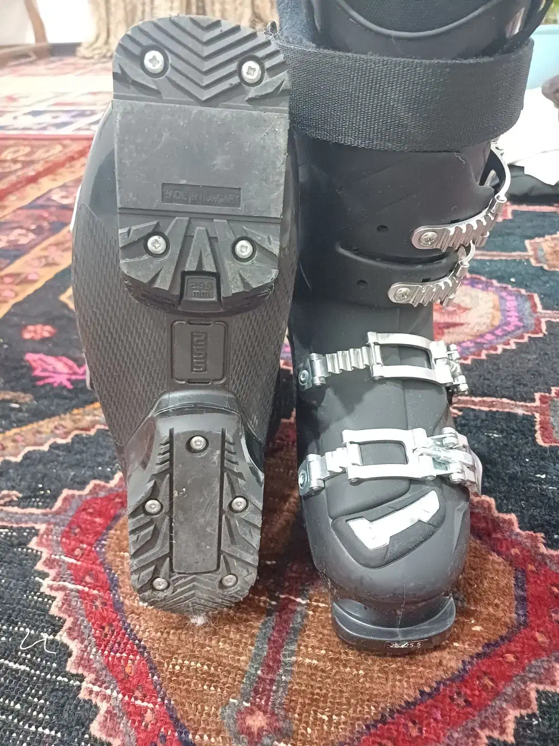 کفش اسکی|ورزشهای زمستانی|دماوند, گیلاوند|دیوار