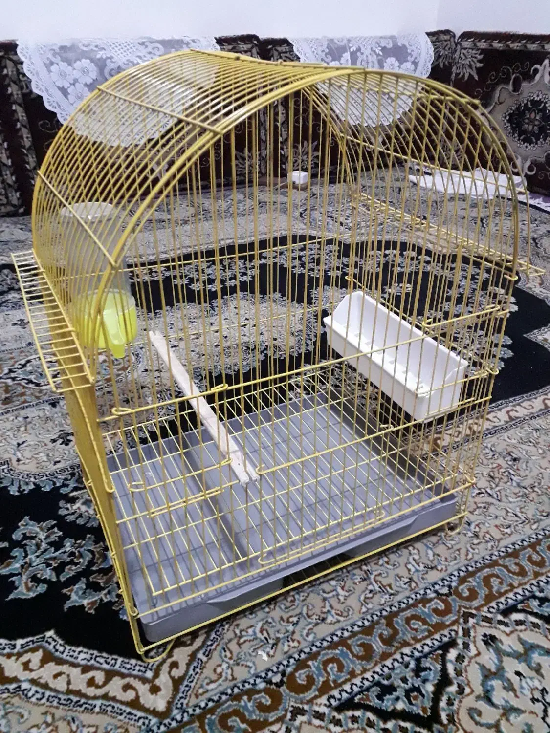 قفس پرنده|لوازم جانبی حیوانات|سنندج, |دیوار