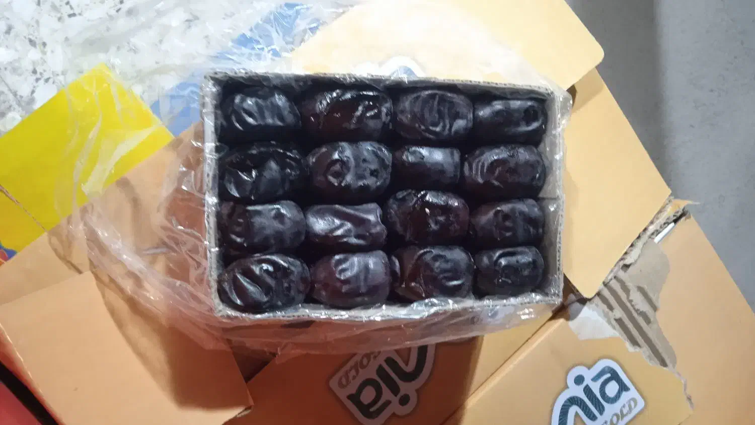 خرما درجه یک|عمده‌فروشی|بم, |دیوار