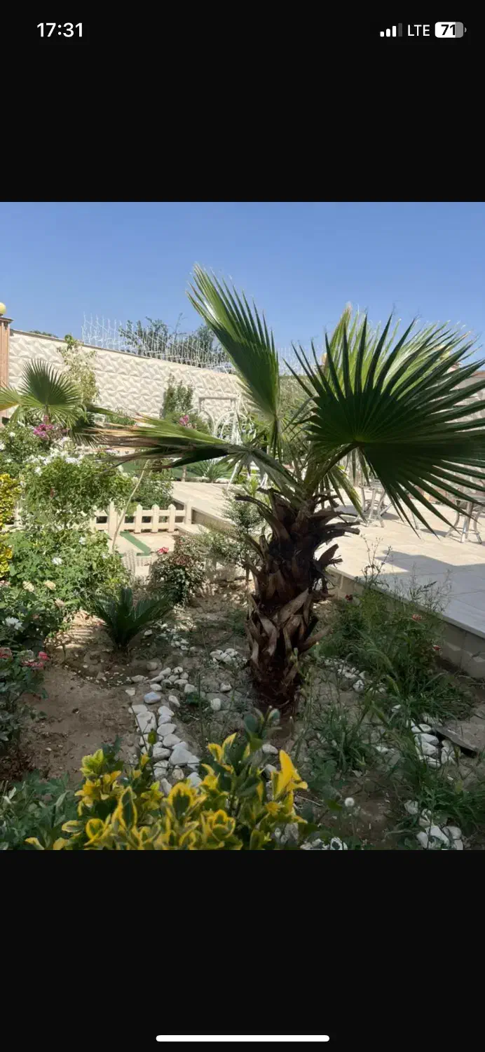 اجاره ویلا استخردار|اجارهٔ کوتاه‌مدت ویلا و باغ|شهریار, شهرک وائین|دیوار