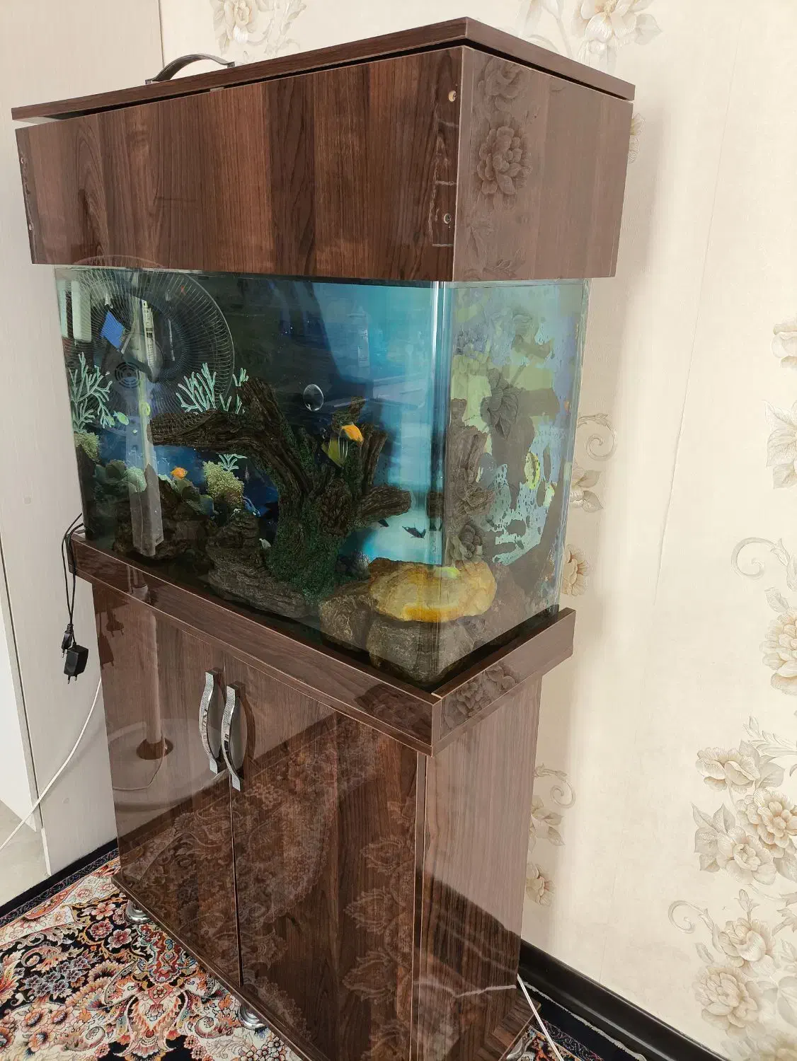 اکواریوم به همراه جاکفشی زیر|ماهی|ری, شهرری|دیوار