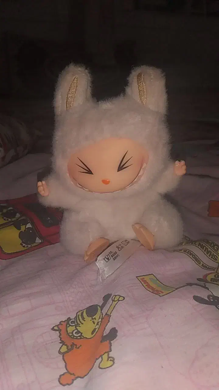 لبوبو|اسباببازی|طبس, |دیوار