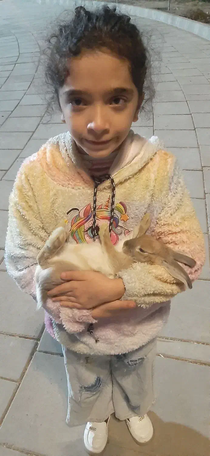 خرگوش خانگی|موش و خرگوش|تهران, شهرک صادقیه|دیوار