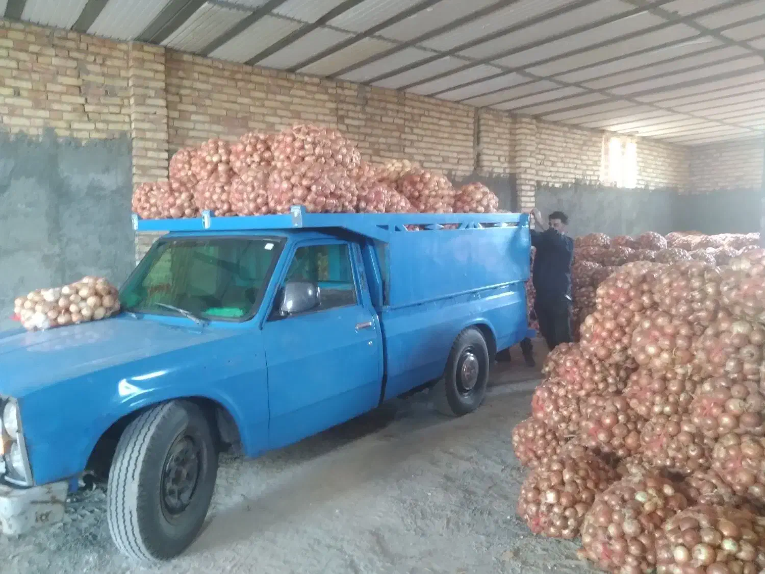 وانت نیسان مدل ۷۱|خودرو سواری و وانت|زنجان, |دیوار