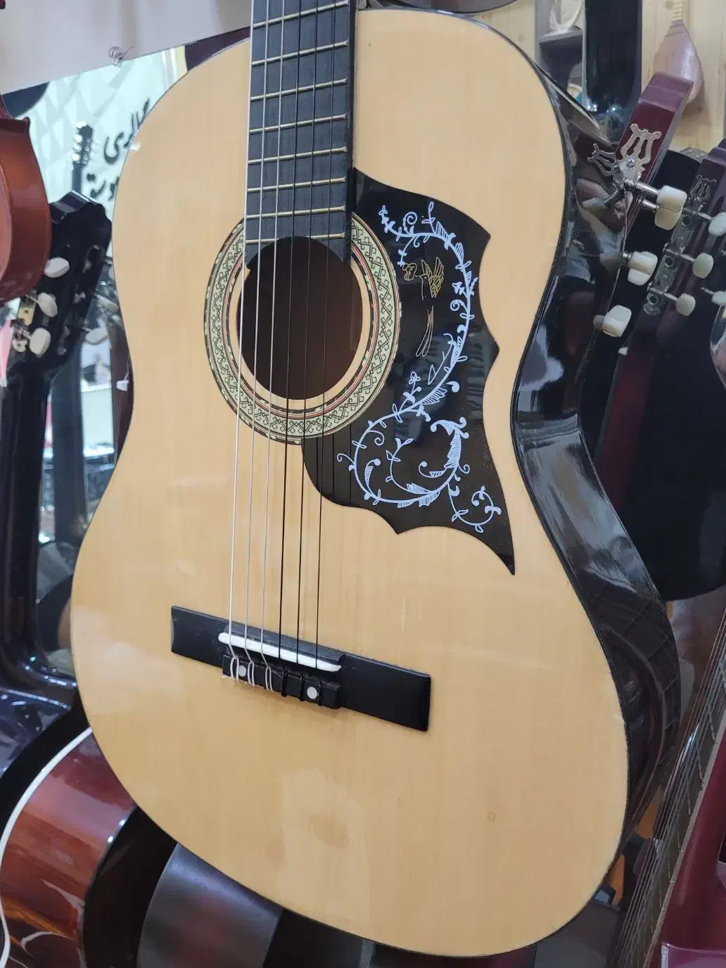 گیتار Lorenso|گیتار، بیس، امپلیفایر|تبریز, |دیوار