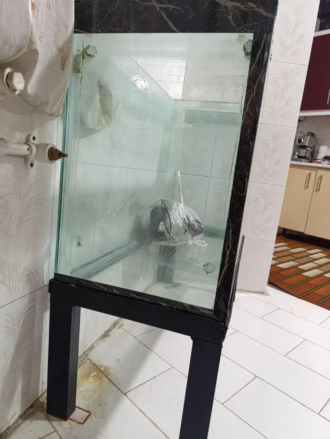 آکواریوم بزرگ|ماهی|خرمآباد, |دیوار