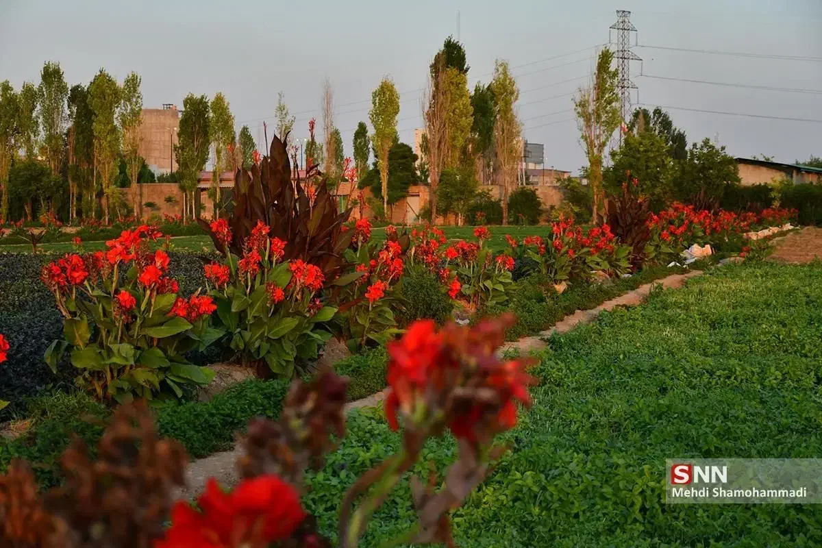 کارت ملی بنام مهدی آستانی|اشیا|کوهدشت, |دیوار