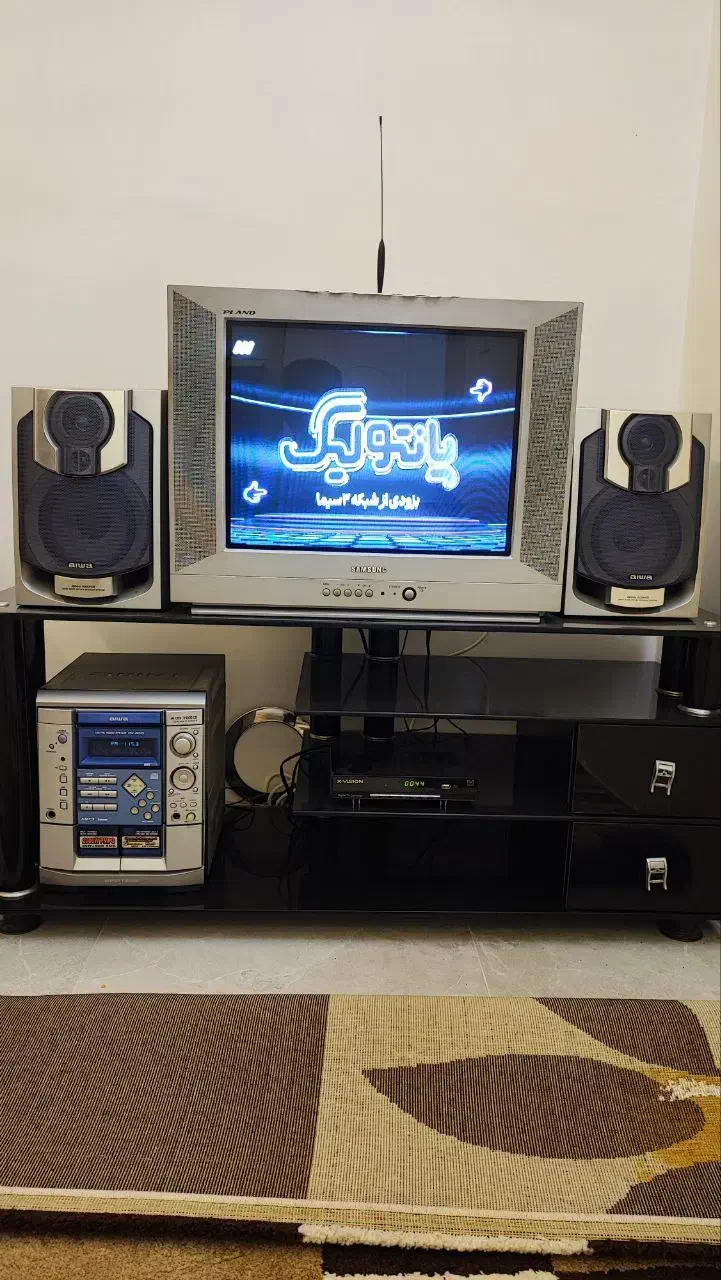 باند اصلی اورجینال عروسی|سیستم صوتی خانگی|رشت, کاکتوس|دیوار