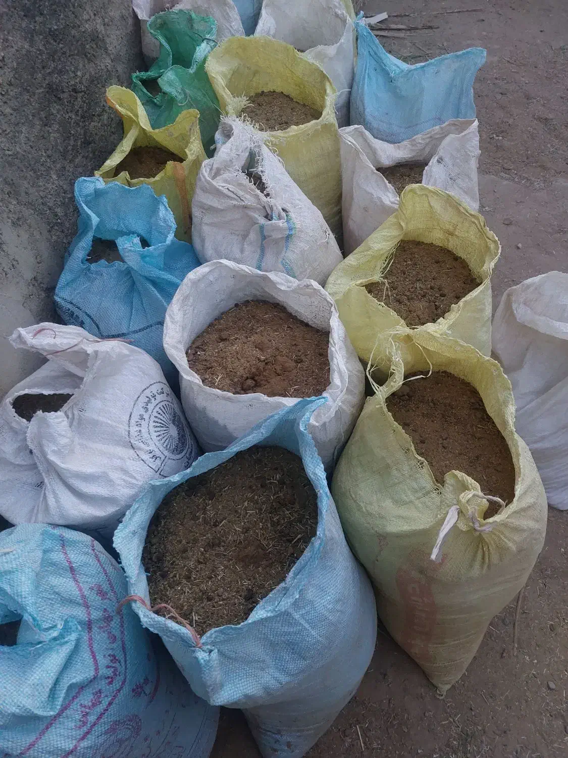 کودگوسفندی|گل و گیاه طبیعی|بافق, |دیوار