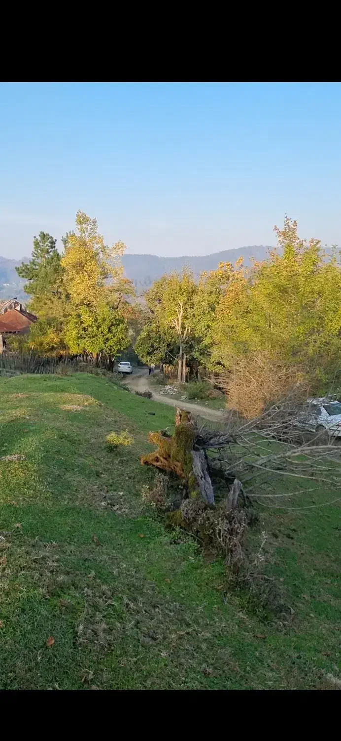 فروش زمین دو هزار متری با ویوی ۳۶۰|فروش زمین و ملک کلنگی|سیاهکل, |دیوار