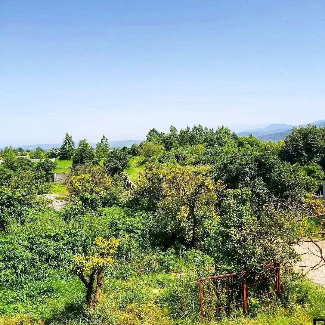 ویلا باغ منحصر بفرد و جذاب مخصوص خاص پسند ها|فروش خانه و ویلا|رامسر, |دیوار