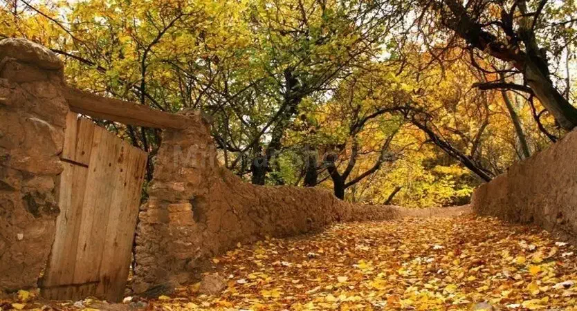 تور یک روزه شهمیرزاد|تور و چارتر|شهمیرزاد, |دیوار