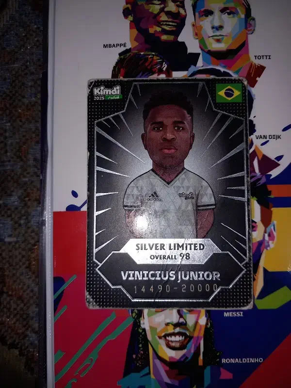 سیلوره وینی|اسباب‌‌بازی|بروجن, |دیوار