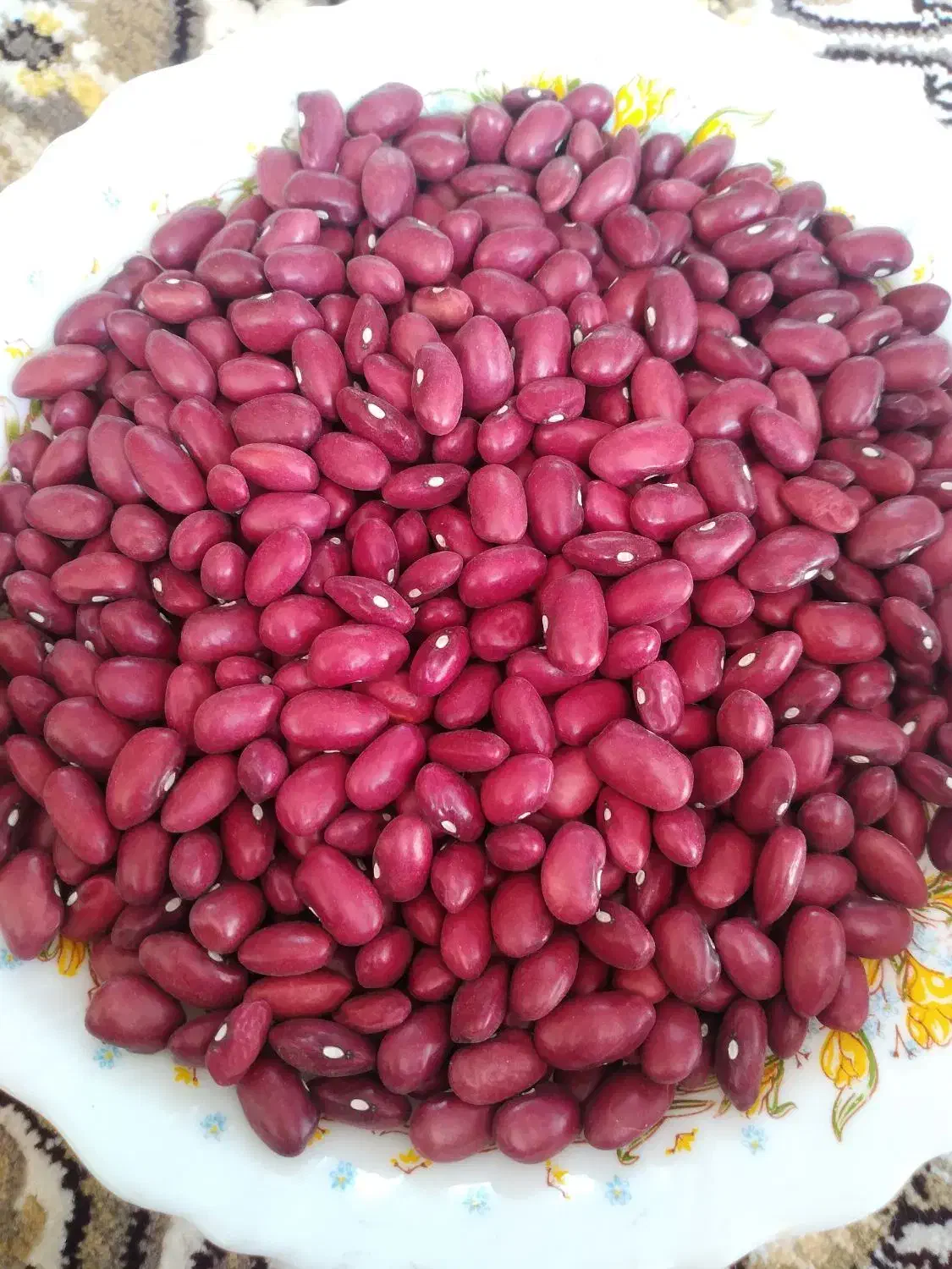 لوبیا قرمز|خوردنی و آشامیدنی|محمدیه-قزوین, |دیوار