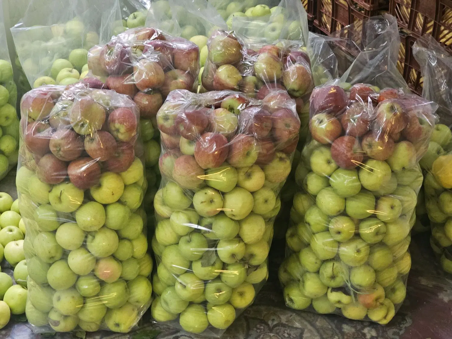سیب|خوردنی و آشامیدنی|مرند, |دیوار