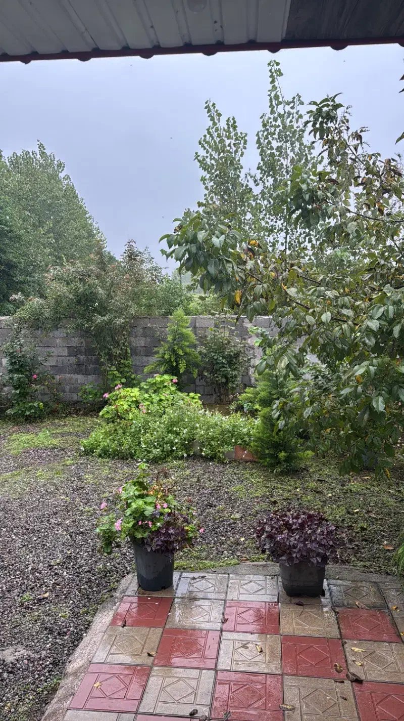 نظافت مغازه|خدمات نظافت|شیراز, وصال|دیوار