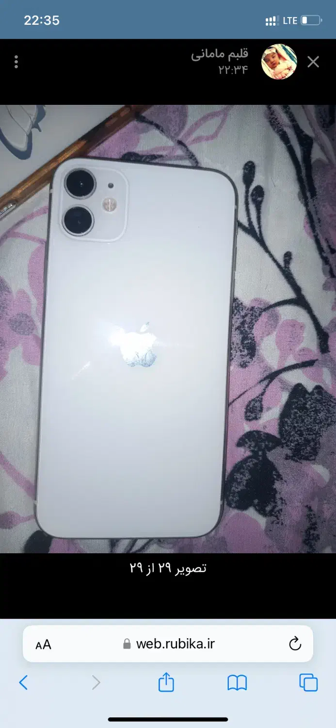 ایفون ۱۱نرمال|موبایل|سبزوار, غرب نیروگاه|دیوار