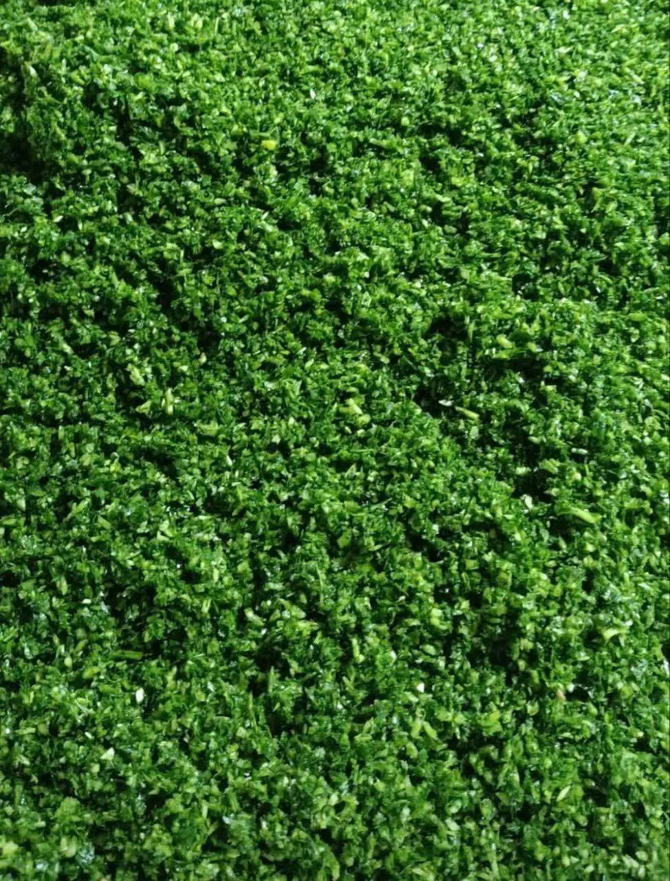 سبزی خورشتی کرفس|خوردنی و آشامیدنی|کرمانشاه, |دیوار