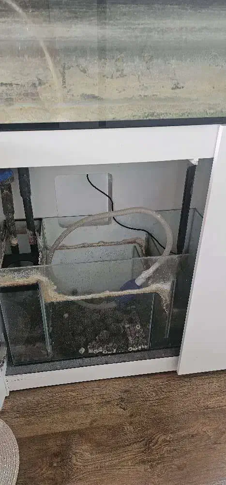 آکواریوم برند ایران آکواریوم|ماهی|تهران, باغ فیض|دیوار