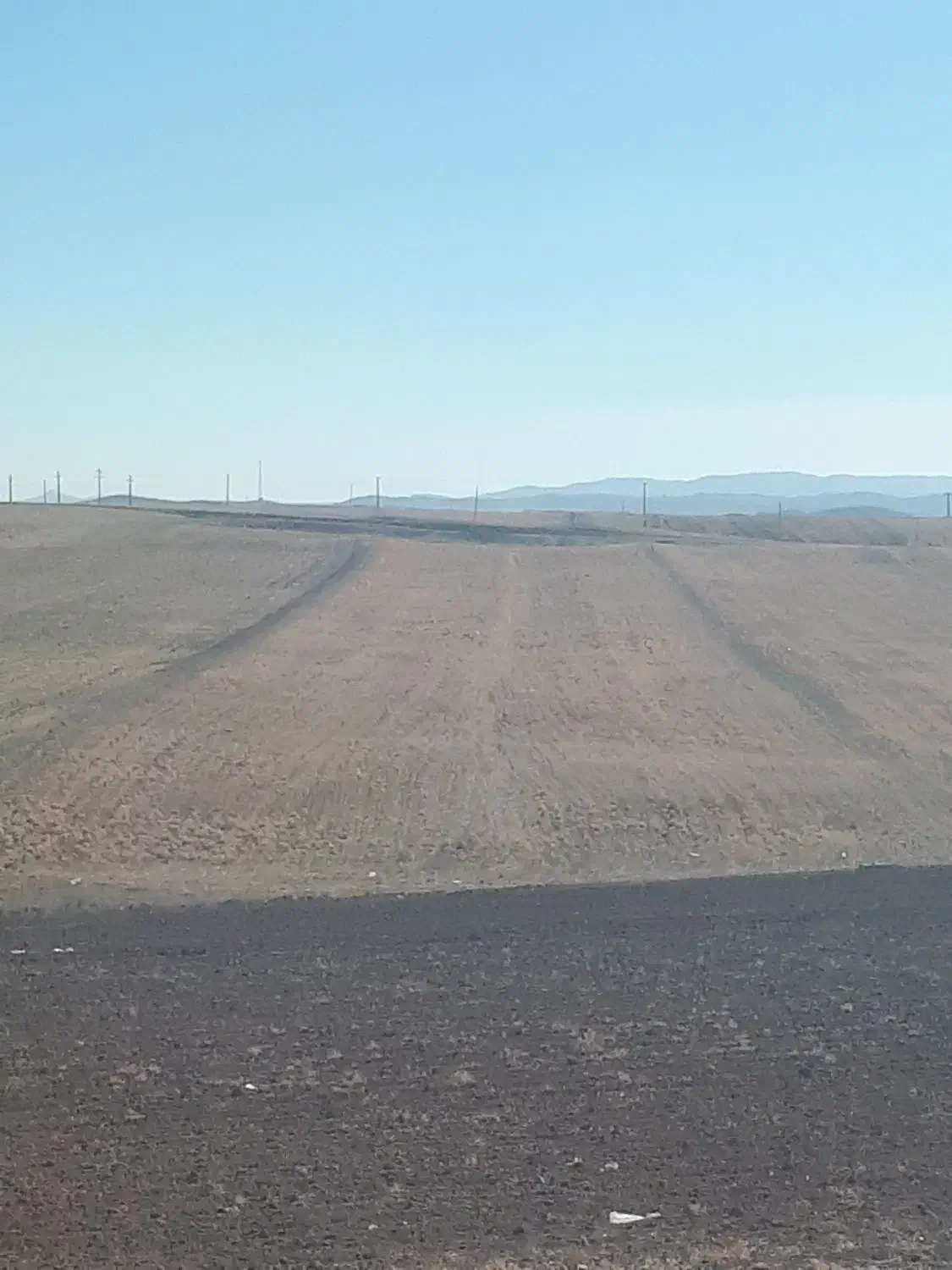 زمین شراکتی در روستای سید جعفر لو|اجارهٔ دفتر صنعتی، کشاورزی، تجاری|مرادلو, |دیوار