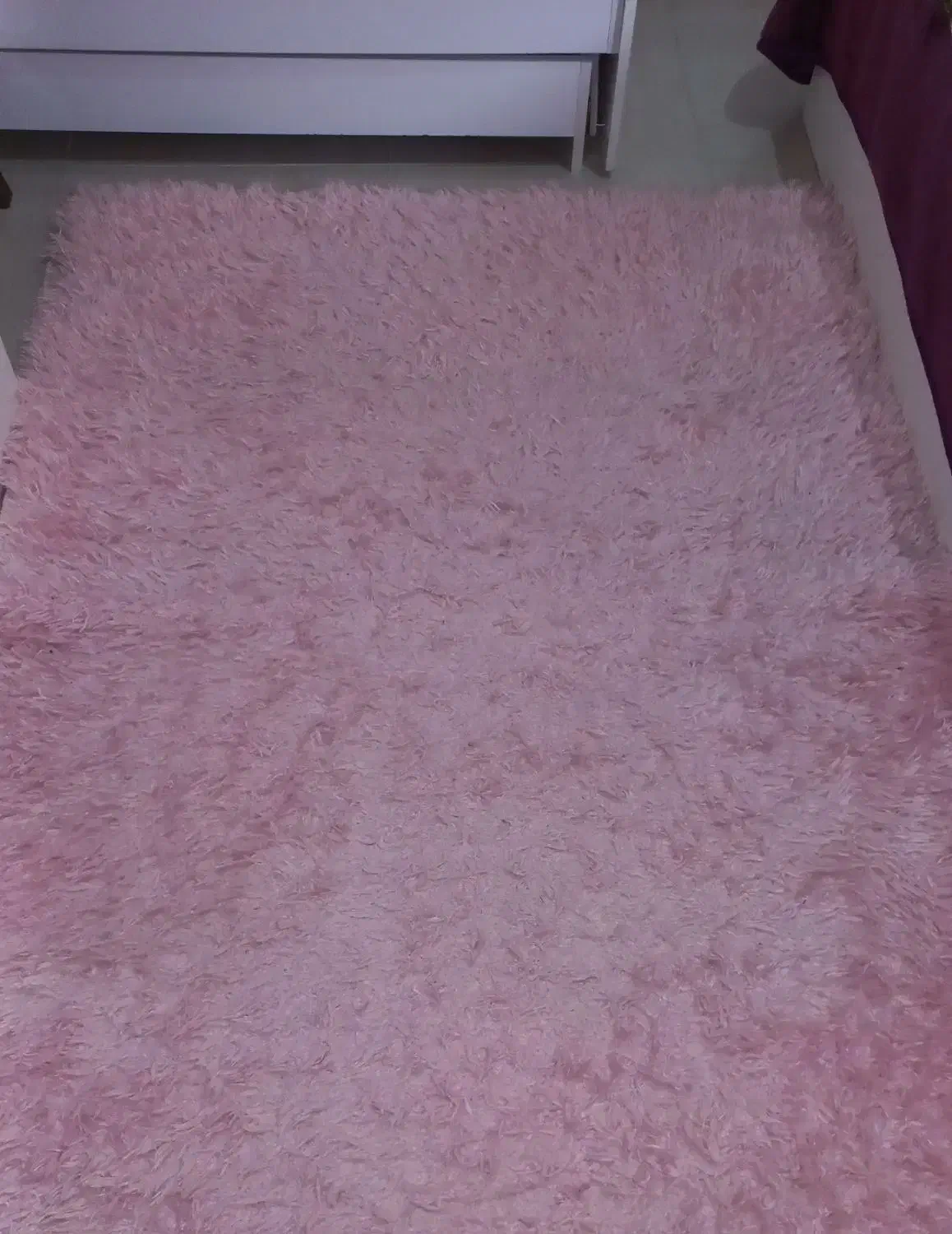 گلیم شگی|گلیم، جاجیم، گبه|قم, پردیسان|دیوار