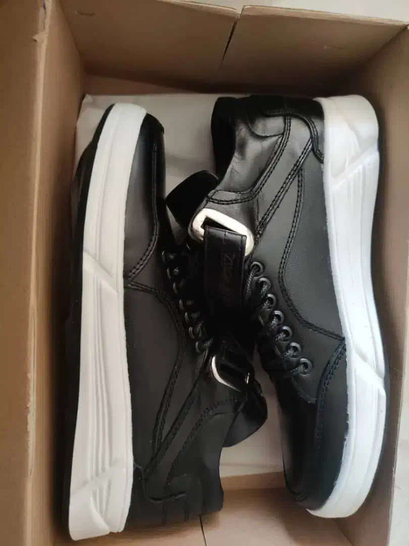 کفش ۴۲|کیف، کفش، کمربند|مراغه, |دیوار