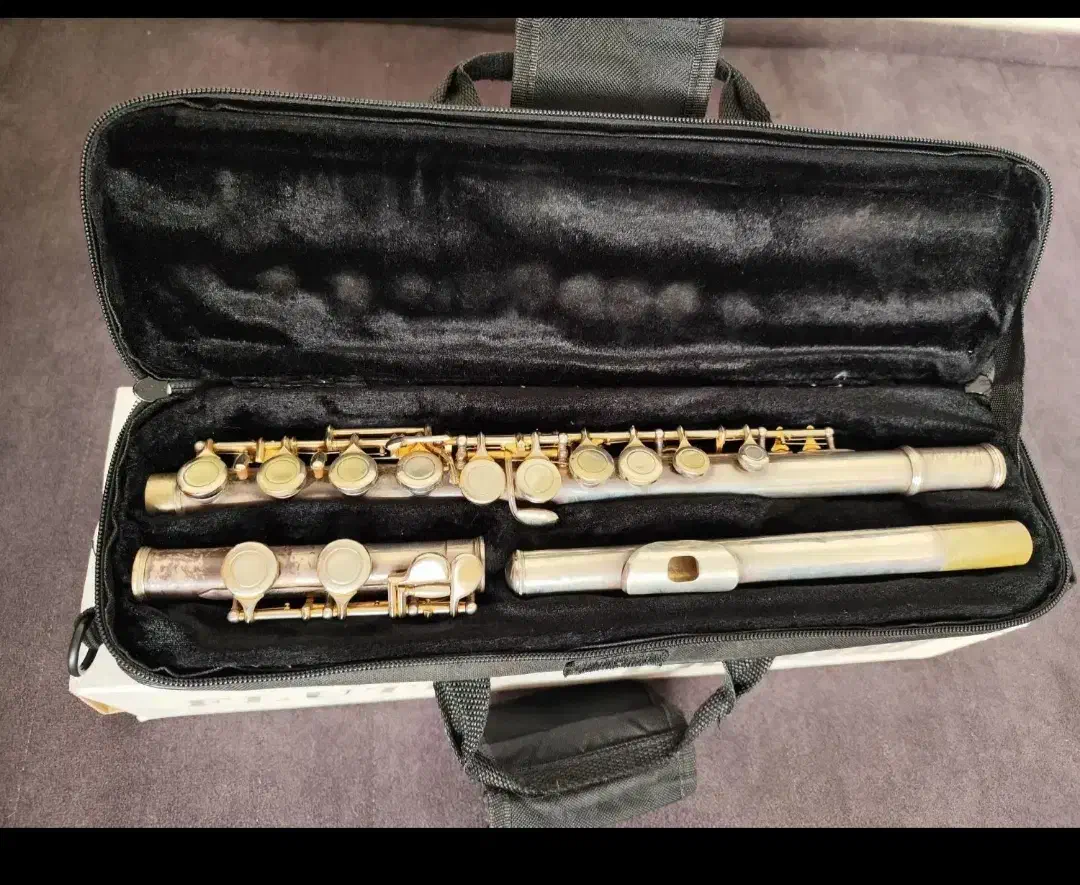 فلوت کلید دار|سازهای بادی|کرج, برغان|دیوار