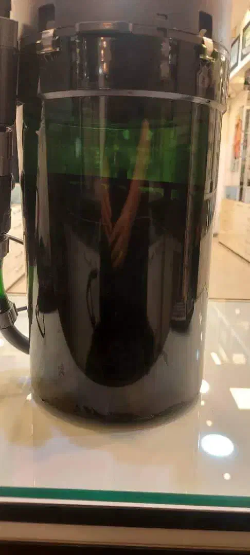 لوازم اکواریوم|ماهی|تهران, فلسطین (میدان انقلاب)|دیوار