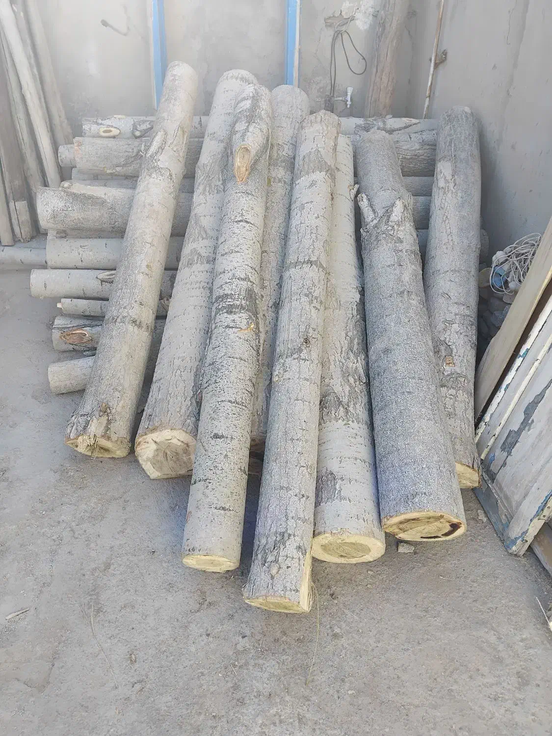 فروش چوب|عمدهفروشی|شیروان (خراسان), |دیوار