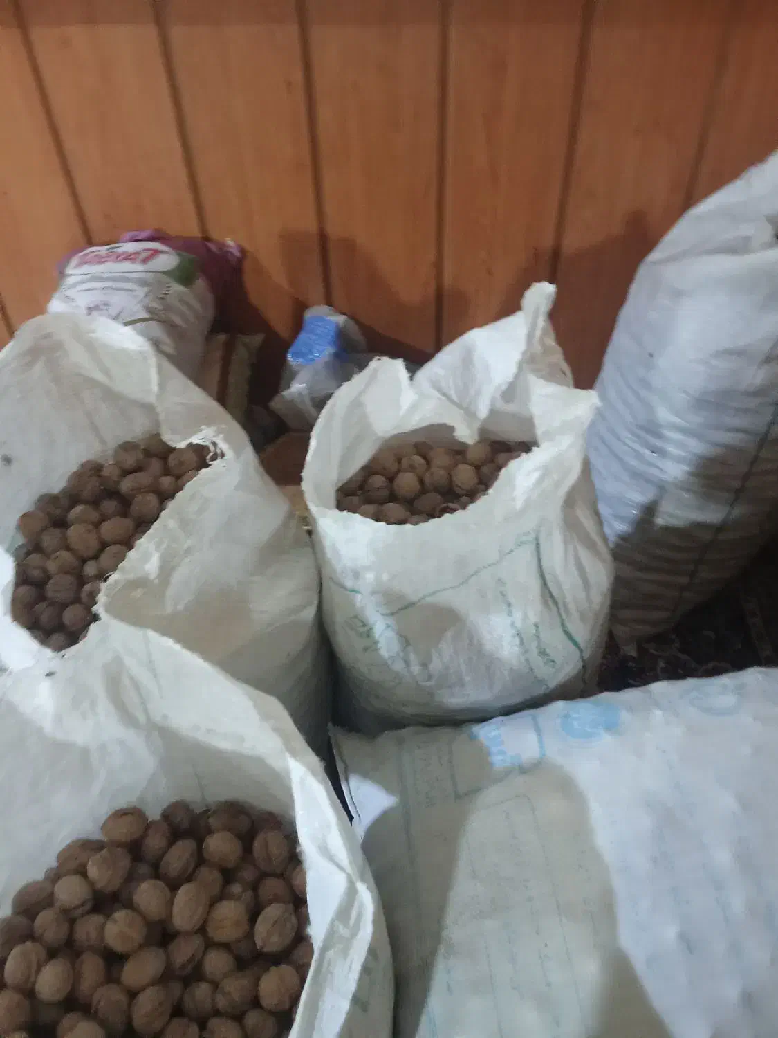 گردو تازه امسالی کیلو 400|حراج|چناران, |دیوار