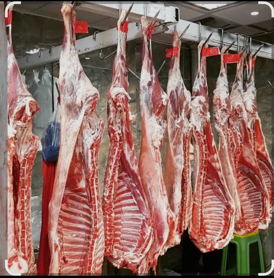 گوشت|خوردنی و آشامیدنی|سلفچگان, |دیوار